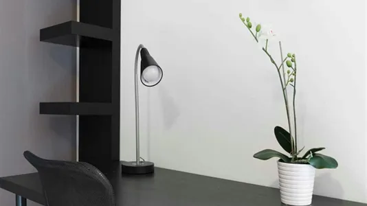 Rooms in Milano Zona 3 - Porta Venezia, Città Studi, Lambrate - photo 8