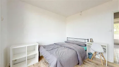 Room for rent in Toulouse, Occitanie