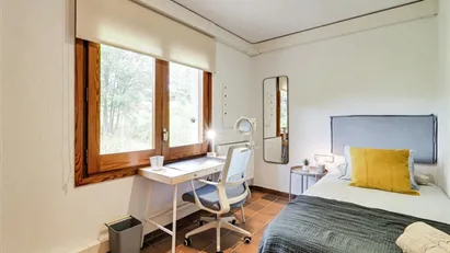 Room for rent in Cerdanyola del Vallès, Cataluña