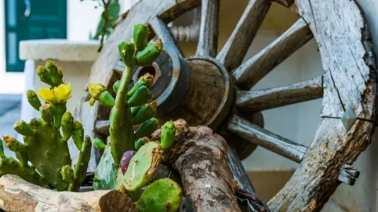 Houses in Avola - photo 6