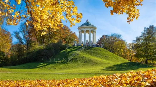 Apartments in Munich Schwabing-West - photo 10