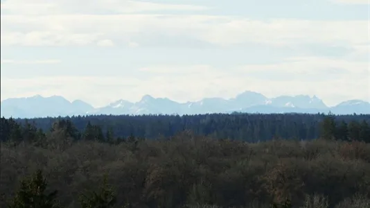 Rooms in Munich Thalkirchen-Obersendling-Forstenried-Fürstenried-Solln - photo 4