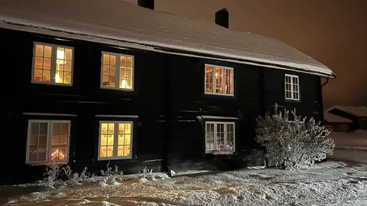 Houses in Røros - photo 1