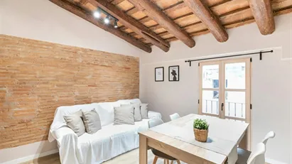 Apartment for rent in Barcelona Ciutat Vella, Barcelona