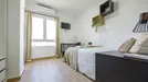 Room for rent, el Camí de Vera, Comunidad Valenciana, Carrer del Doctor Vicent Zaragoza