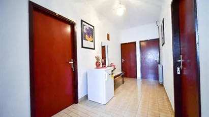 Apartment for rent in Zadar, Zadarska