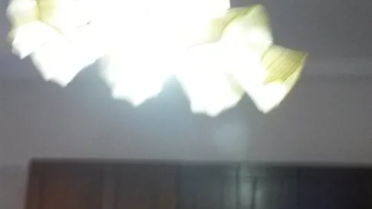 Rooms in Trento - photo 7