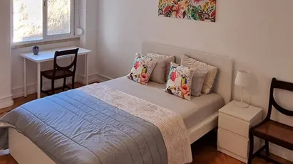 Room for rent in Lisbon (region)