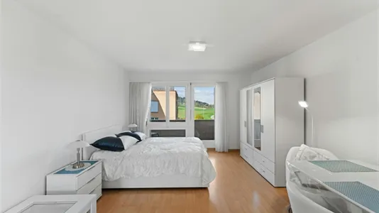 Apartments in Dielsdorf - photo 2