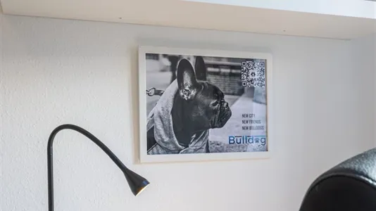 Rooms in Vienna Brigittenau - photo 5