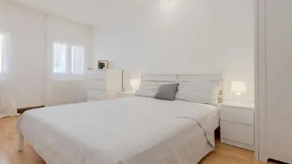 Room for rent in Padua, Veneto