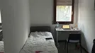 Room for rent, Bologna, Emilia-Romagna, Viale Quirico Filopanti