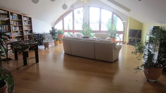 Apartments in Bernkastel-Wittlich - photo 7