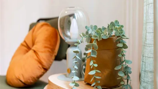 Rooms in Milano Zona 2 - Stazione Centrale, Gorla, Turro, Greco, Crescenzago - photo 5