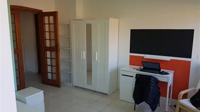 Room for rent in Pisa, Toscana