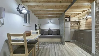 Apartment for rent in Barcelona Ciutat Vella, Barcelona