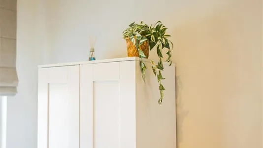 Apartments in Eindhoven - photo 9