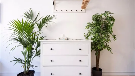 Apartments in Wuppertal - photo 8