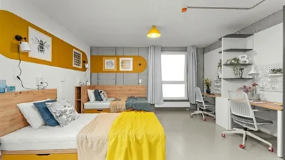 Room for rent in Kraków