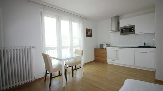 Apartments in Zürich Distrikt 6 - photo 7