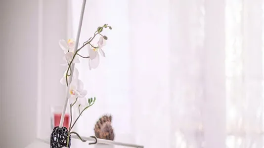 Rooms in Milano Zona 1 - Centro storico - photo 1