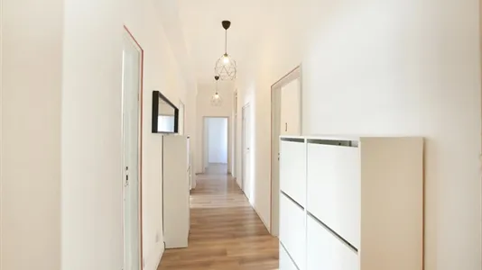 Rooms in Modena - photo 8