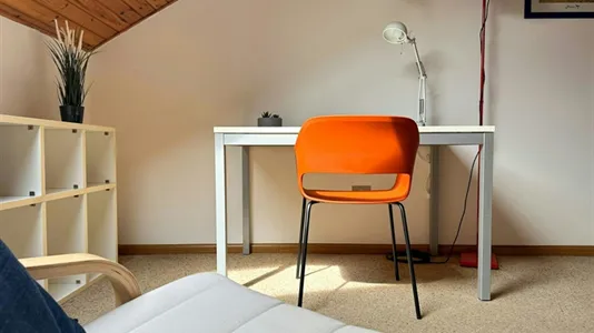 Rooms in Trento - photo 8
