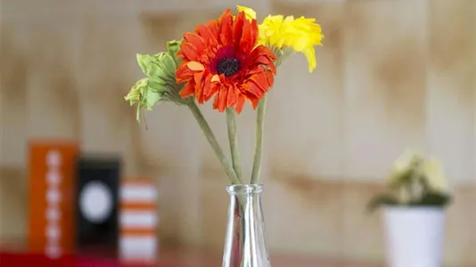 Rooms in Milano Zona 6 - Barona, Lorenteggio - photo 7