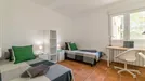 Room for rent, Cerdanyola del Vallès, Cataluña, Carrer de Lluís dAbalo