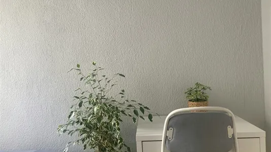 Rooms in Alicante/Alacant - photo 7