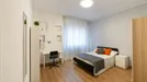 Room for rent, Forlì, Emilia-Romagna, Viale Fratelli Spazzoli