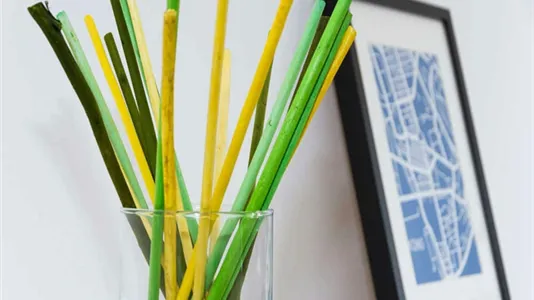 Rooms in Milano Zona 2 - Stazione Centrale, Gorla, Turro, Greco, Crescenzago - photo 5