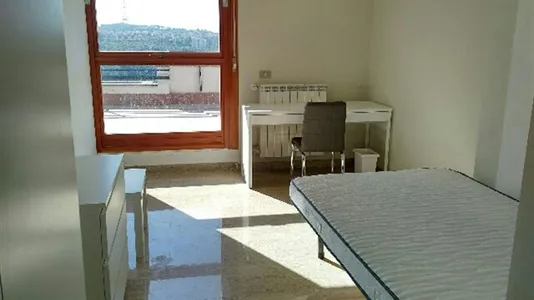 Rooms in Roma Municipio XIV – Monte Mario - photo 1
