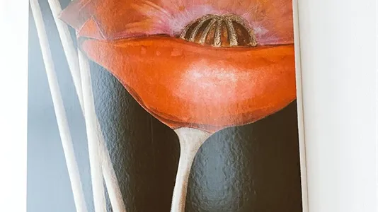 Apartments in Vienna Favoriten - photo 6