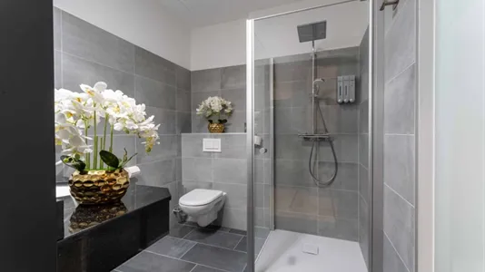 Apartments in Bad Fischau-Brunn - photo 10