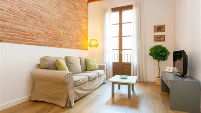 Apartment for rent in Barcelona Ciutat Vella, Barcelona