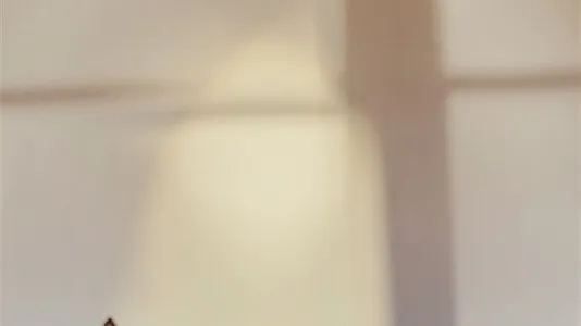 Apartments in Berlin Pankow - photo 9