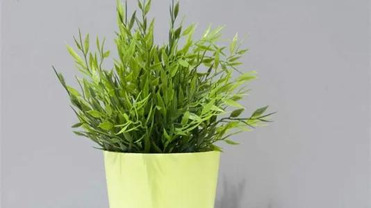 Rooms in Milano Zona 1 - Centro storico - photo 7