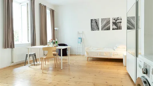 Apartments in Vienna Josefstadt - photo 4