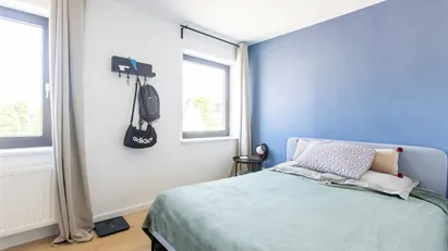 Room for rent in Bergen, Henegouwen