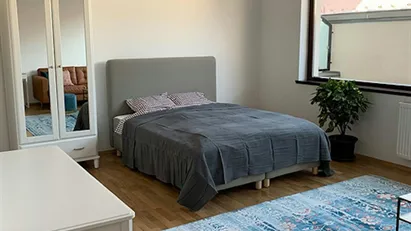 Apartment for rent in Budapest Józsefváros, Budapest