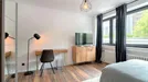 Room for rent, Cologne Innenstadt, Cologne (region), Neue Weyerstraße