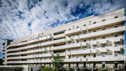 Apartment for rent in Frankfurt (region)