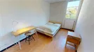 Room for rent, Grenoble, Auvergne-Rhône-Alpes, Place des Géants