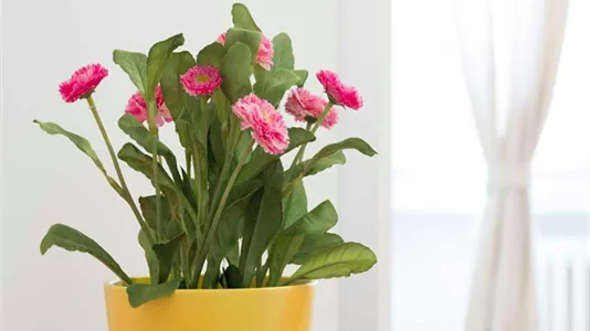 Rooms in Milano Zona 6 - Barona, Lorenteggio - photo 9