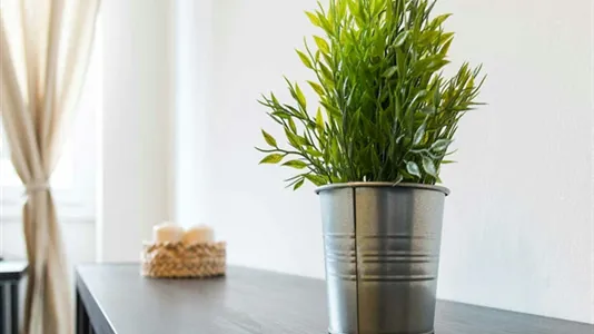 Rooms in Milano Zona 2 - Stazione Centrale, Gorla, Turro, Greco, Crescenzago - photo 7