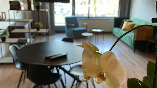 Apartments in Ede - photo 2