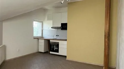 Apartment for rent in Prague