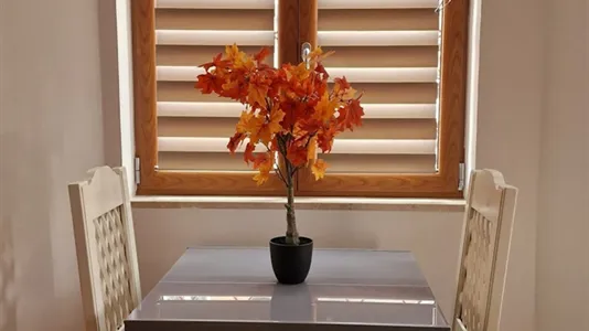 Apartments in Ciampino - photo 6