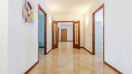Rooms in Pisa - photo 7